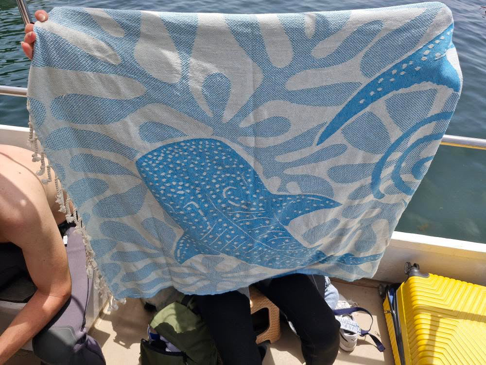 Person holding a blue and white towel with whale shark design by water